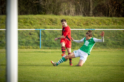 Seniorzy - Kotwica Kórnik