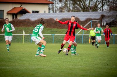 Seniorzy - Kotwica Kórnik