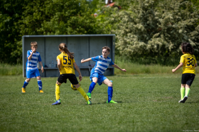 Orlik E2 - Turniej WZPN