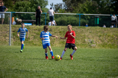 Orlik E2 - Turniej WZPN