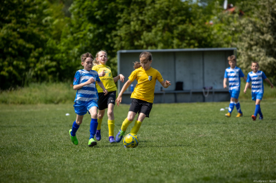 Orlik E2 - Turniej WZPN