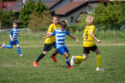 Orlik E2 - Turniej WZPN