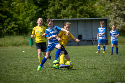 Orlik E2 - Turniej WZPN