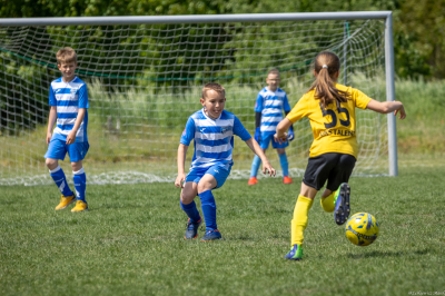 Orlik E2 - Turniej WZPN