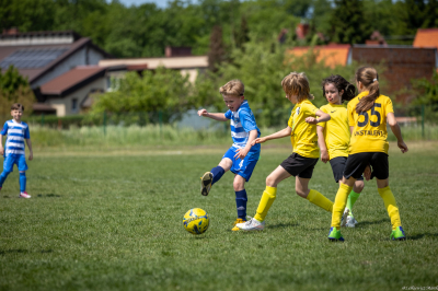 Orlik E2 - Turniej WZPN